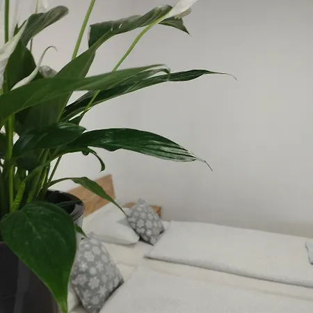 Kwatera prywatna 77 Veľký Meder