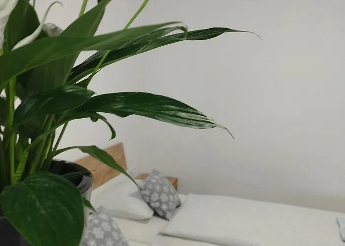 Ubytování v soukromí 77 Veľký Meder